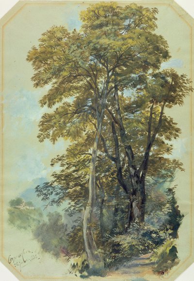 Edward Lear, Corpo di Cava, 28. Juni 1838 von Edward Lear